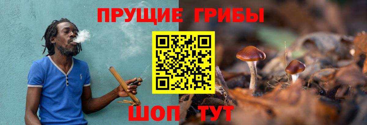 как найти наркотики  Псилоцибиновые грибы Magic Shrooms  Дмитров  Вход с VPN  Псилоцибиновые грибы мицелий 